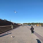 Profile Picture of Sum Yee (@angela_sum_yee) on Instagram