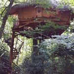 Profile Picture of David Verdier (@davidverdier33) on Instagram