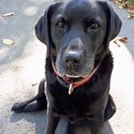 Profile Picture of Janet Plunkett (@janet.plunkett.75) on Instagram