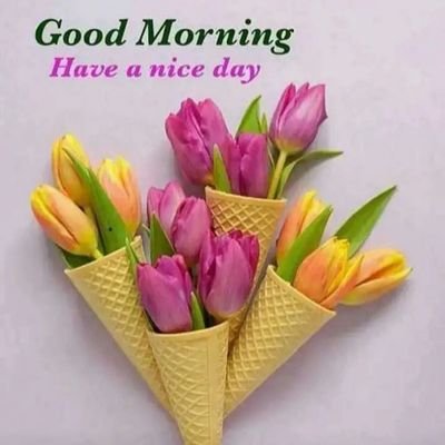 Profile Picture of Suresh Arvind Bhandari (@SureshArvindBh6) on Twitter