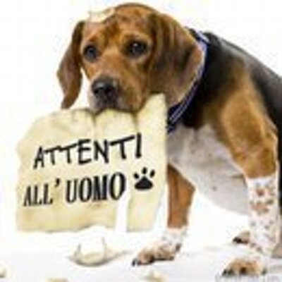 Profile Picture of Mario Parente (@Masaniello55) on Twitter