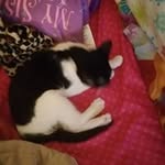 Profile Picture of Katelynn Hanson (@hansonkatelynn) on Instagram