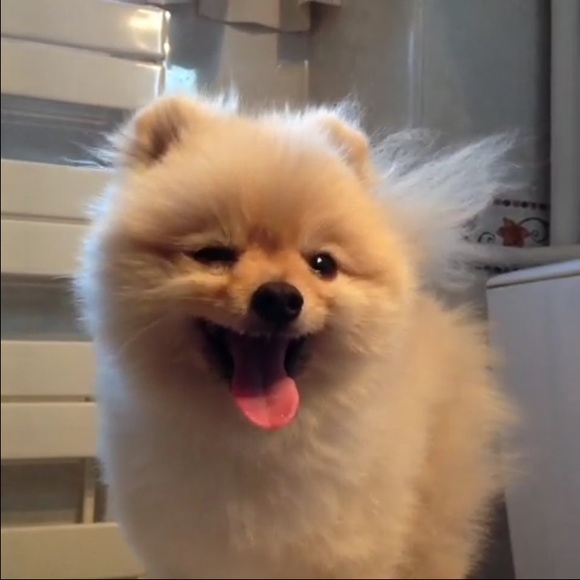 Profile Picture of Bennett Brooks (@yunglunchbag) on Poshmark