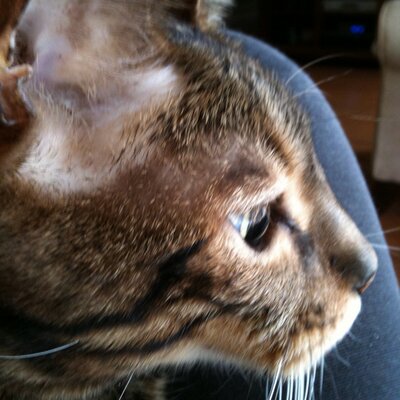 Profile Picture of Paula Duffield (@PduffieldD) on Twitter