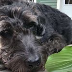 Profile Picture of Larson Bertsch (@larsonbertsch) on Instagram