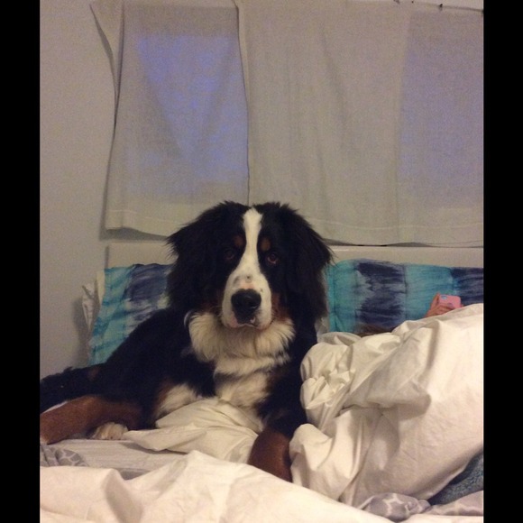 Profile Picture of Josephine Mendieta (@josephine_oo21) on Poshmark