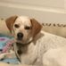 Profile Picture of Sherry Ivatts Lander (@sherry.lander.1291) on Facebook