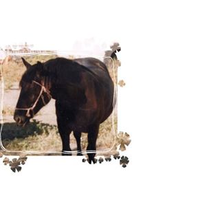 Profile Picture of Daniel D'addona (@daniel.daddona.9) on Facebook