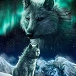 Bryan walker/wolf - Instagram Profile Picture of Bryan walker/wolf (@xx2doorxx) on Instagram