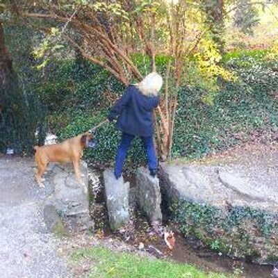 Profile Picture of Tandy Tarr (@trinitytandy) on Twitter