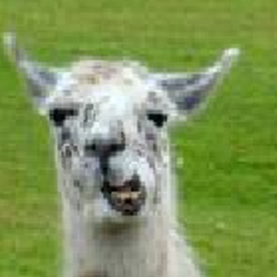 Profile Picture of John Moroney (@JohnnyMoroney) on Twitter