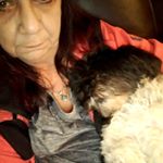 Profile Picture of Barb Huffman (@barbhuffman8515) on Instagram