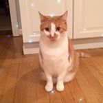 Profile Picture of Carleigh (@carleighrobertson1) on Instagram