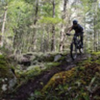 Profile Picture of Andrew Durie (@andrew-durie-1) on Quora