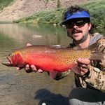 Profile Picture of Scott Kennedy (@scotty_o) on Instagram