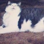 Profile Picture of Dorothy Overby (@overbyharold) on Instagram