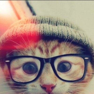 Marcelo Rocha - Twitter Profile Picture of Marcelo Rocha (@peter239walt) on Twitter