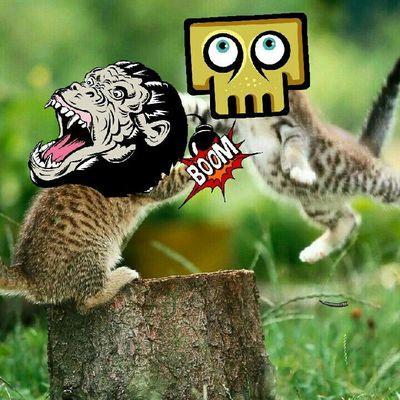 Profile Picture of Trever Clark (@TreverTc) on Twitter