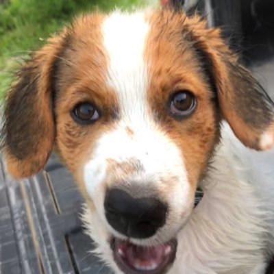 Profile Picture of Jacob Renfrow (@Renfrow2000) on Twitter