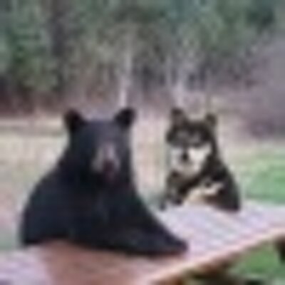 Profile Picture of Matt Sessions (@MeesterSessions) on Twitter