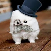 Profile Picture of Jason Kwan (@jasonkwan1947) on Youtube