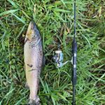 Profile Picture of Justin Reichelt (@justin.reichelt86) on Instagram