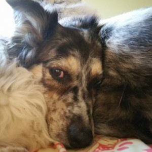 Captain Jim Stilwell - Twitter Profile Picture of Captain Jim Stilwell (@TheSeamansEye) on Twitter