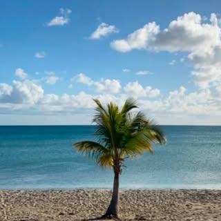 lena.khalifeh - Instagram Profile Picture of lena.khalifeh (@lena.khalifeh) on Instagram