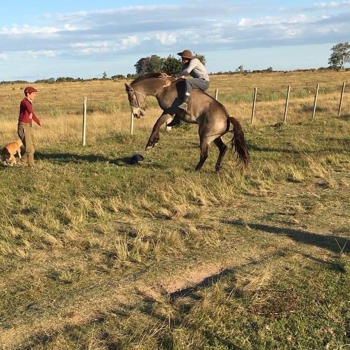 Profile Picture of Rodrigo Rodriguez (@rodrigorodriguez603) on Tiktok