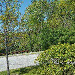 Profile Picture of samsam.hussein (@samsam.hussein) on Instagram