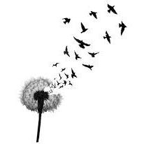 Profile Picture of Manon Therrien (@manontherrien2) on Pinterest