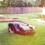 Profile Picture of Michael Sayers (@autmowofknoxville) on Instagram