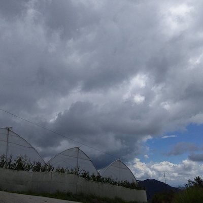 Profile Picture of Martin Oropeza (@Martinoropeza14) on Twitter