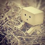 Profile Picture of Aisha....abd ullah (@yshmd6116) on Instagram