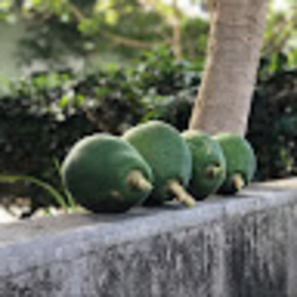 Brown Brown - Poshmark Profile Picture of Brown Brown (@brown2plus2) on Poshmark