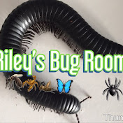 Profile Picture of Wesley Talbot (@wesleytalbot1418) on Youtube