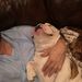 Profile Picture of Brett Hawse (@bretthawse) on Pinterest
