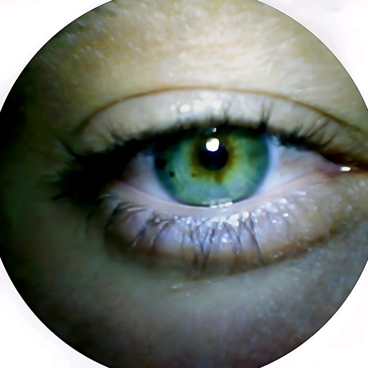 Profile Picture of Michael (@michaelkennedycarrillo) on Tiktok