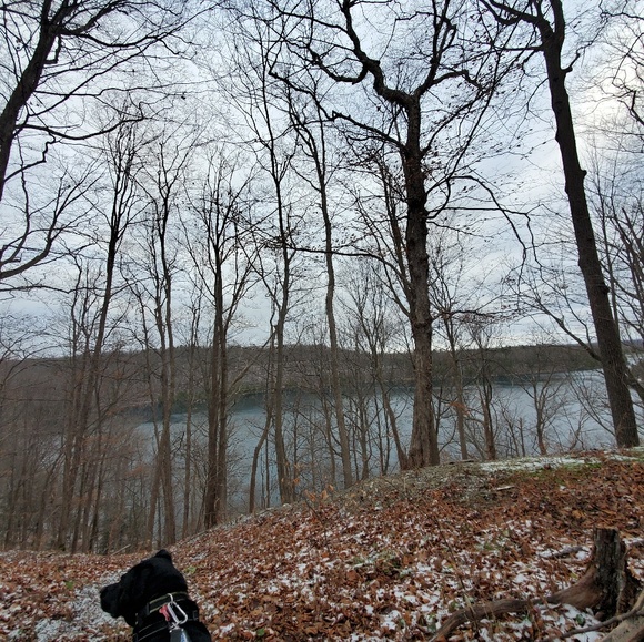 Profile Picture of Monique John (@mmjohn1406) on Poshmark