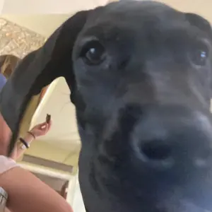 Profile Picture of Hadley_milnor (@hadley_milnor) on Tiktok