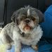 Profile Picture of Beverly Krelow (@beverly.krelow) on Facebook
