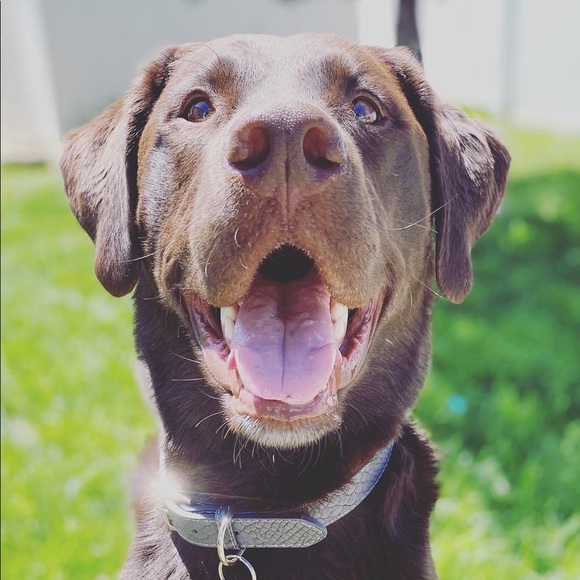 Profile Picture of Dallas Rowberry (@dallasrowberry) on Poshmark