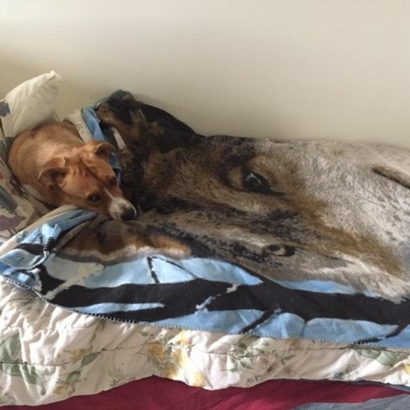 Profile Picture of Aimee Redding (@aimeeredding386) on Poshmark