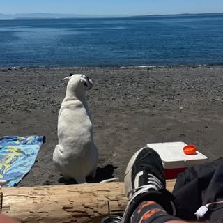 Profile Picture of Patrick Minney (@patrickminney) on Instagram