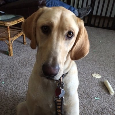 Profile Picture of Jo Ann Morse (@Jmorse0405) on Twitter