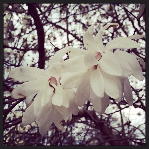 Profile Picture of Hannah Tetuan (@illbashyoum8) on Poshmark