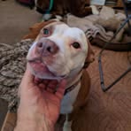 Profile Picture of Steven Stansberry (@steven.stansberry.35) on Facebook