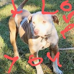 Profile Picture of Michael Stracener (@michael.stracener) on Tiktok