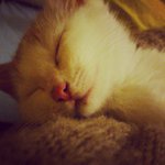 Profile Picture of Monica Carillion (@shultzjedshultzj1875) on Instagram