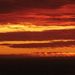 Profile Picture of Lori Manis Collins (@greenreader) on Pinterest